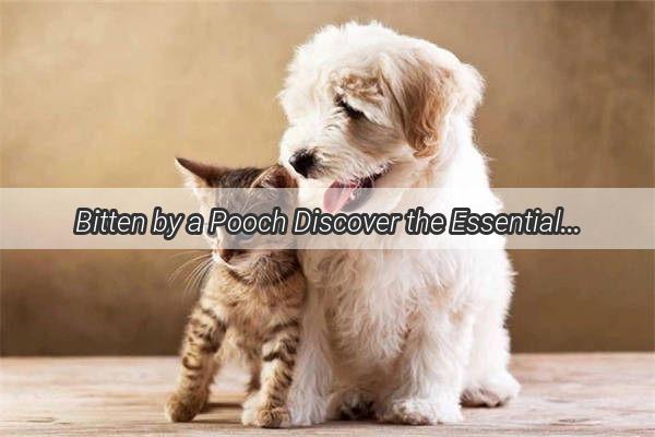 Bitten by a Pooch Discover the Essential FirstAid Steps to Soothe Your Wounds